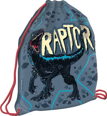 Obrázek produktu pro Sáček na přezůvky Raptor