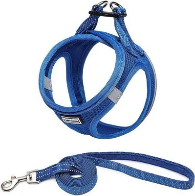 Produktbild von Hundegeschirr mit Leine – Reflektierendes Brustgeschirr für kleine Hunde, Haustiere, Welpen und Kätzchen – Lapislazurblau, Größe XXS (25-29 cm)