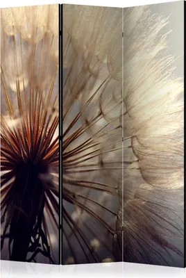 Produktbild von 3-teiliger Doppelseitiger Vlies Paravent - Dandelion Kiss 135x172 cm Blumen b-B-0137-z-b