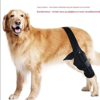 Produktbild von Schwarze (Größe M) Schutzhose für Hunde bei Beinverletzungen, mit Beinschutz und Kniegelenkschutz