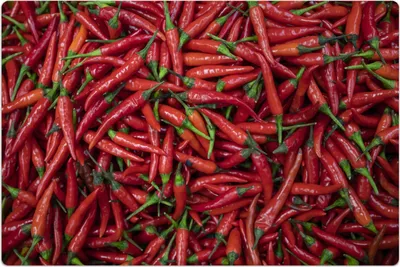 Produktbild von Küchenmatte 140x210 cm Vinylmatte Bodenmatte Dekoration - Paprika Gemüse