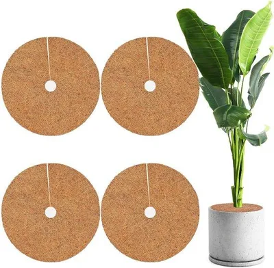 Obrázok produktu pre Kokosová rohož na ochranu v zime, 60 cm, sada 4 kusov