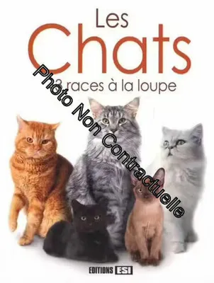 Image de Hernandez Cédric - Les Chats - 43 Races À La Loupe