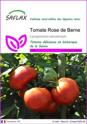 Image de SAFLAX  - Tomate Rose de Berne - 10 graines - Lycopersicon