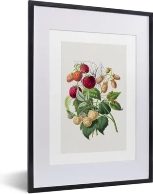Produktbild von MuchoWow® Gerahmtes Poster Himbeeren - Obst - Lebensmittel 30x40 cm - Poster mit Schwarzem Bilderrahmen Wandposter Rahmen Foto Bilder - Wandposter Schlafzimmer
