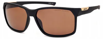Produktbild von Arctica S-345C Polarized Sonnenbrille mit braunen Gläsern