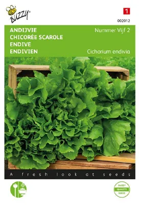Produktbild von Sommerendivien Bubikopf | Endiviensalatsamen von Buzzy Seeds