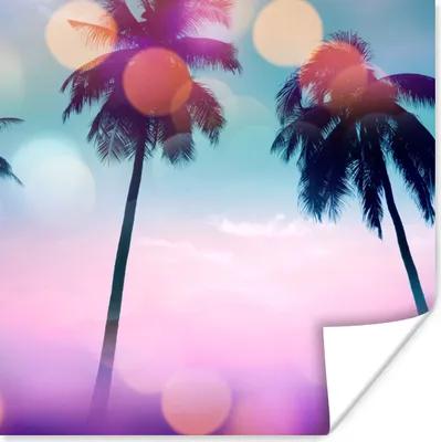 Produktbild von MuchoWow® Poster Sommer - Palmen - Himmel - Rosa 75x75 cm - Wand Dekoration