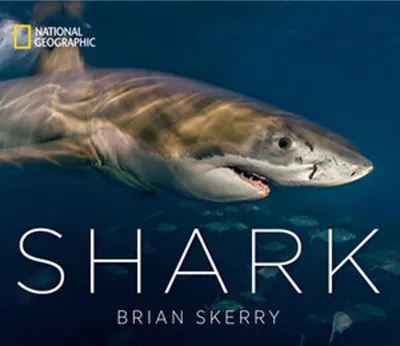 Obrázok produktu pre Shark