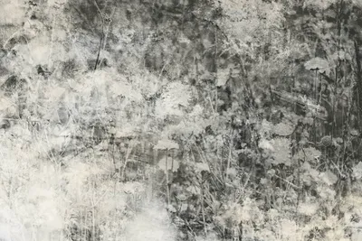 Produktbild von Fototapete - Nature Gray Abstract 375x250cm - Vliestapete