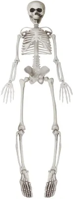 Obrázok produktu pre Skelety, strašidelné dekorácie a iné ozdoby na oslavy Halloweenu