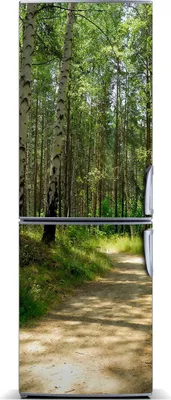 Produktbild von Tulup Kühlschrankdekoration - Magnetmatte - 60 cm x 180 cm - Magnet auf dem Kühlschrank - Birkenwald