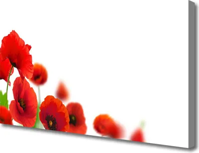 Produktbild von Tulup Leinwand-Bilder 100x50 Wandbild Canvas Kunstdruck Mohnblumen Pflanzen