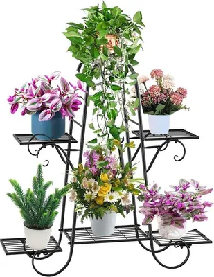 Image de Support de jardin | 6 niveaux | Intérieur et extérieur | Support à fleurs en bois | Grande variété de plantes | Noir | Support pour plantes de terrasse