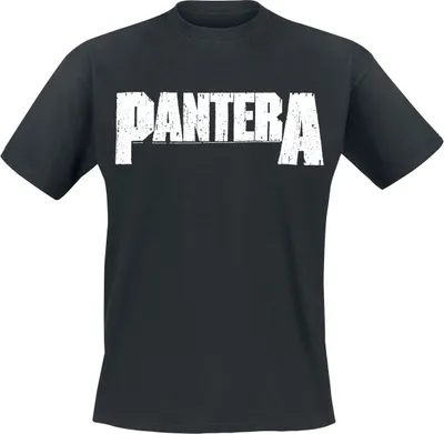 Produktbild von Pantera T-Shirt Herren Logo schwarz Band-Merch, Bands 100% Baumwolle S