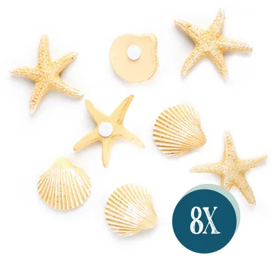 Produktbild von 8-teiliges Deko Set mit Muscheln + Seesternen beige zum Kleben