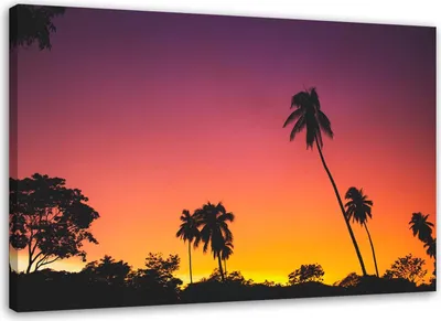 Produktbild von Leinwandbild rosa himmel und palmen 60x40 cm Feeby lila wandbild bereit zum aufhängen