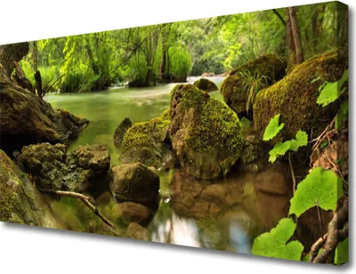 Produktbild von Tulup Leinwand-Bilder 100x50 Wandbild Canvas Kunstdruck Felsen See Natur