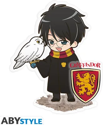 Produktbild von HARRY POTTER - Acryl® - Harry & Hedwig