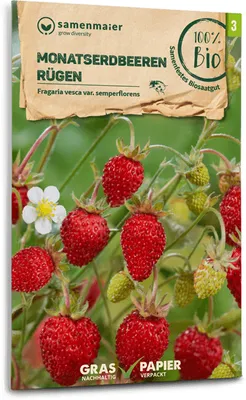 Produktbild von Monatserdbeeren Rügen |  Erdbeersamen von Samen Maier