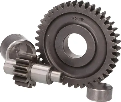 Immagine prodotto di Getriebeübersetzung Sekundär, Polini für CW + MY MA, 14 / 41 (1:2,93) Aprilia, Amico (1991-1992), (ab 1993), GL, Sport, SR 50 (bis 1994), Area 51, Gulliver, Rally, Sonic, SR, SR50, Benelli, 491, K2, Naked, Beta, Ark , Chrono, CPI, Bingo, Hussar 10mm, Popcorn KTM, Go, Quadra, Tempo, Malaguti F12 Phantom, F15 Firefox, MBK, Booster, Equalis, Evolis, Fizz, Flipper, Mach G, Nitro, Ovetto, Slider, PGO, Big Max, G-Max, T-Rex, Revonec, GTX, Rex, Rexy, Silverstreet, Escape, Yamaha Aerox, Axis, Bws,...