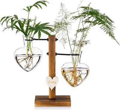 Produktbild von Famanu Vase mit Holzständer, Kreative Herz-Glas-Hydroponik-Vase - Modern