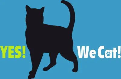 Produktbild von vianmo Holzschild 30x40 cm Yes We cat Katze blau