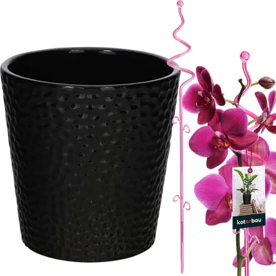 Produktbild von KOTARBAU® Blumentopf Schwarz Keramik glasiert 11 cm mit Pflanzenstütze Rosa PVC 58 cm Orchideentopf Keramik mit Blumenstütze Rankhilfe Pflanztopf Orchideenstab Stützstab dekorative Pflanzenhalter