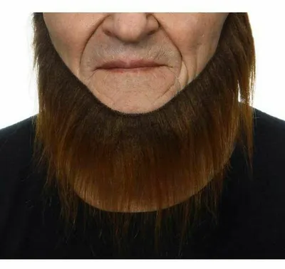 Immagine prodotto di Barba finta My Other Me Marrone Taglia unica