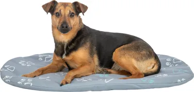Produktbild von TRIXIE Kissen Jimmy - hellgrau - 64 × 41 cm