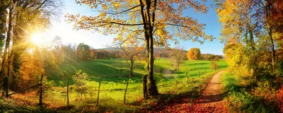 Produktbild von Fototapete - Meadow 375x150cm - Vliestapete
