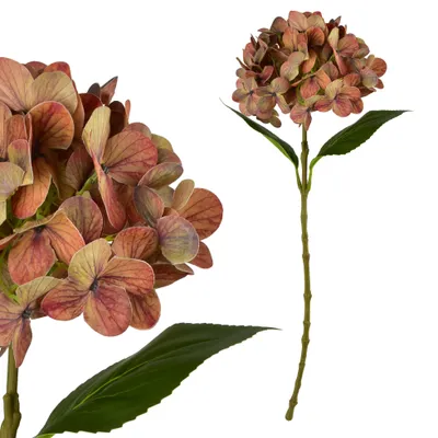 Obrázek produktu pro Kunstblume Kunststoff MONDEX: Umělá hortenzie, zelená, 60 cm, 1 kus