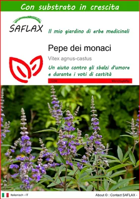 Immagine prodotto di SAFLAX - Pepe dei monaci - 30 semi - Con substrato - Vitex