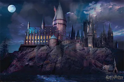 Produktbild von Harry Potter Poster: Hogwarts (36)
