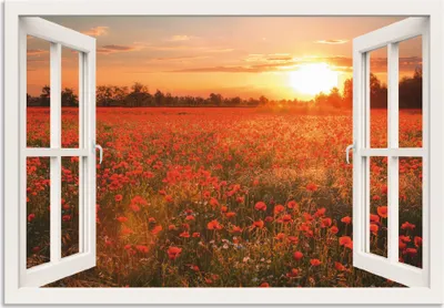 Produktbild von ARTland Wandbild Alu für Innen & Outdoor Fensterblick Mohnblumenfeld - weiß Größe: 100x70 cm