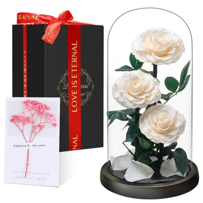 3 konservierte echte Rosen im Glas – Infinity-Rosen, Geschenk für Frauen
