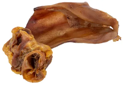 Image de Kerbl : Oreilles de porc pour animaux de compagnie, idéales comme friandises à mâcher pour les chiens