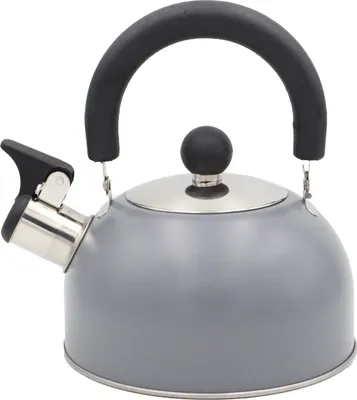 Produktbild von Kompakter Wasserkocher 1,5 l Gas & Induktion – Klappbarer Griff
