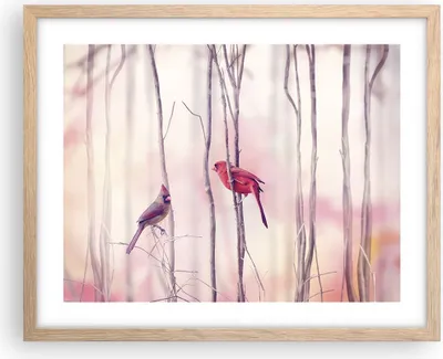 Produktbild von Gerahmtes Poster - Rahmen in heller Eiche - Vögel Kardinal Scharlachrot - 50x40 cm - Wand Bild - Wanddeko - Wandbilder - Wandposter - Bilderrahmen - Bilder - Kunstdruck - Wandbild - P2NAA50x40-4256