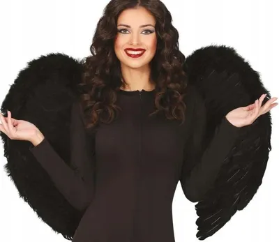 Productafbeelding van Engelse vleugels, duivelsveren, zwart, Halloween, kerstspel, 80x55 cm