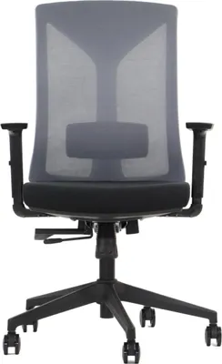 Produktbild von Ergonomischer Bürodrehstuhl HAGER, Nylongestell, verstellbare Armlehnen, Schwarz/Grau, Netzrückenlehne