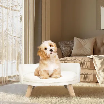 Immagine prodotto di FATIVO Divanetto per Cani e Gatti, Cuccia Rialzata con Cuscino in Peluche, Letto per Animali Domestici, Bianco 61,5 × 32,8 cm