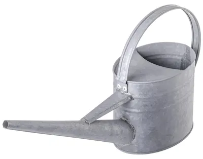 Produktbild von Metall Gießkanne - Blumen Gießkanne 1,8 l - Verzinkter Stahl - Retro Design - Für Haus & Balkon - Silber