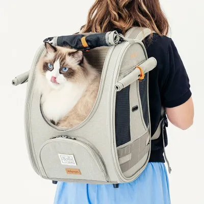 Produktbild von Ibiyaya Adventure Rucksack für Katzen kleine Hunde leicht flugzeugtauglich