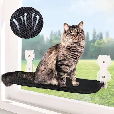 Produktbild von Famanu Katzenhängematte - Robuste Faltbare Fensterliege für Katzen - Bis 20 kg - Inklusive Saugnäpfe