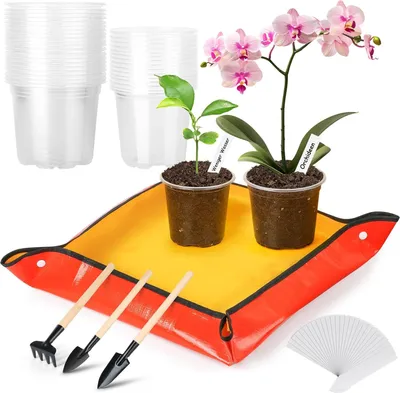 Produktbild von Transparente Pflanztöpfe - Anzuchttöpfe für Orchideen - 35 Stück