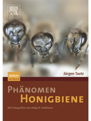 Produktbild von Phänomen Honigbiene