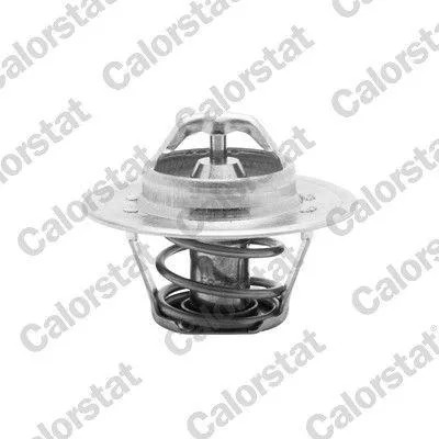 Produktbild von CALORSTAT by Vernet Thermostat, Kühlmittel x TH5504.88J