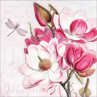 Produktbild von Servietten Papier 33x33cm 3-lag. mit Magnolienblüten Motiv 20 Stück