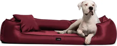 Produktbild von tierlando® Orthopädisches Hundebett GOOFY Kunstleder >>inkl. Matratzenschoner<< - Größe: 110x90cm | Farbe: 04 Dunkelrot